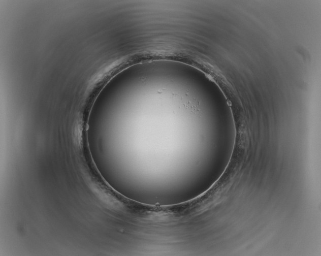 X0000115820446200911131447