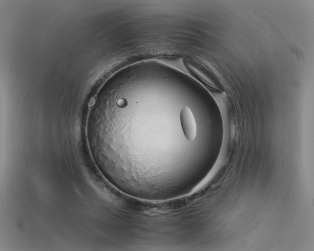 X0000115820447200911131447