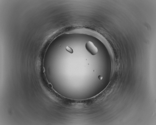 X0000115820448200911131447