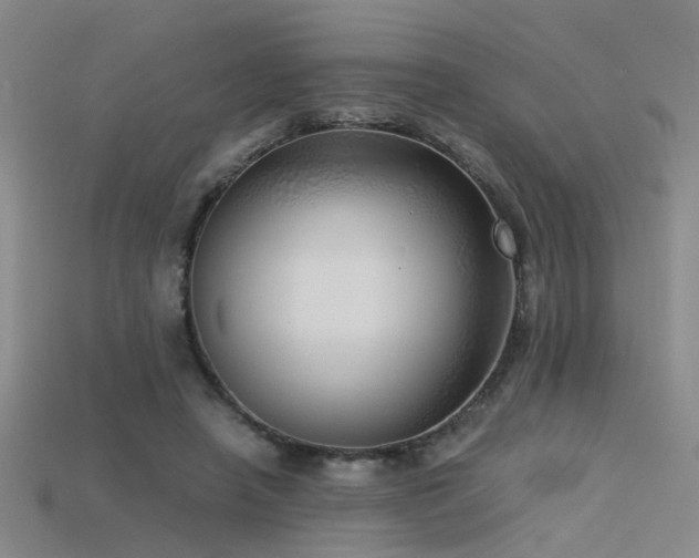 X0000115820450200911131447