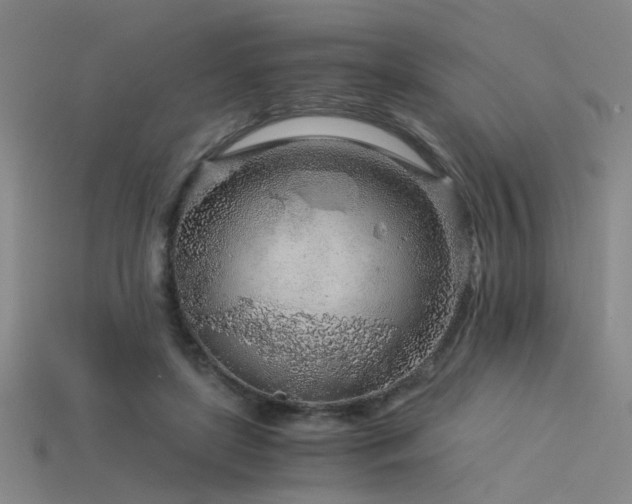 X0000115820451200911131447