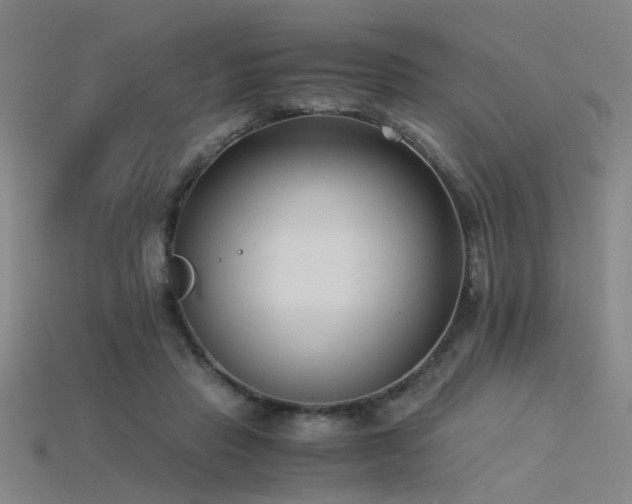 X0000115820453200911131447