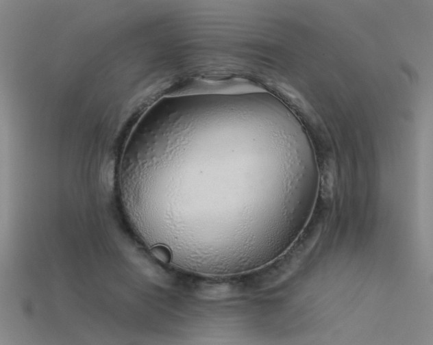 X0000115820454200911131447