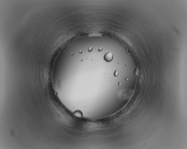 X0000115820455200911131447