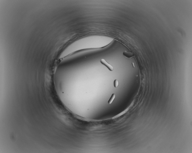 X0000115820456200911131447