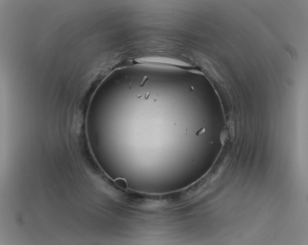 X0000115820458200911131448