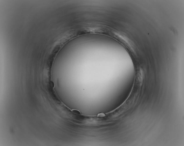 X0000115820461200911131448