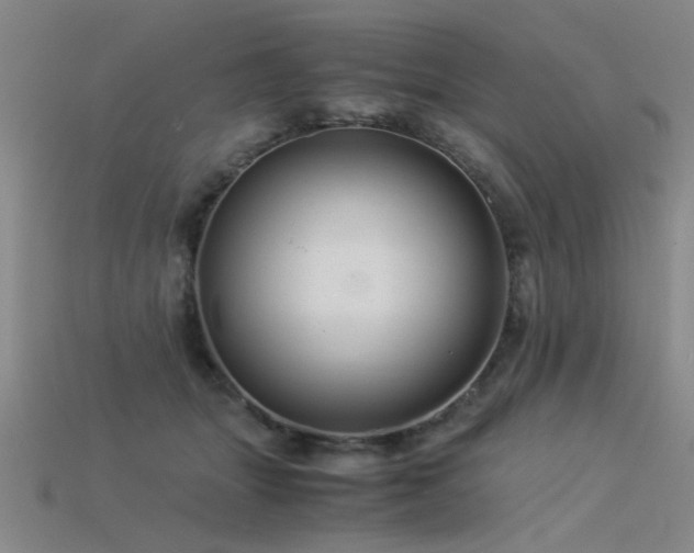 X0000115820463200911131448