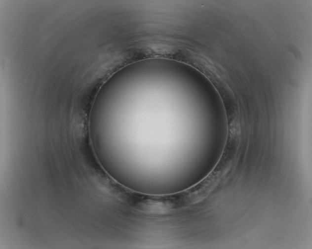 X0000115820464200911131448