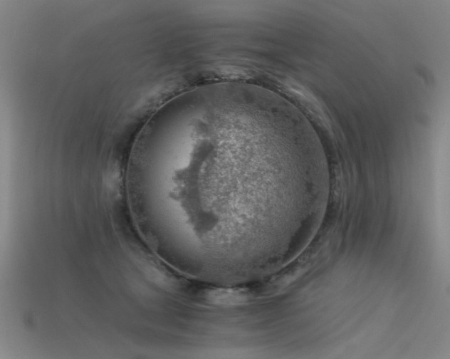 X0000115820465200911131448