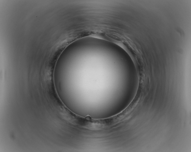 X0000115820466200911131448