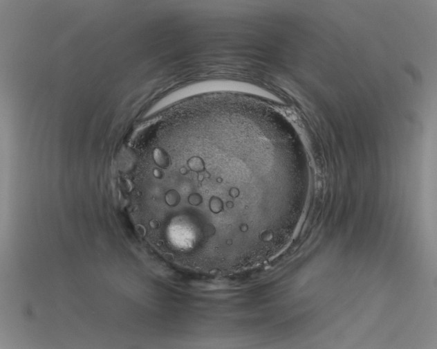 X0000115820467200911131448