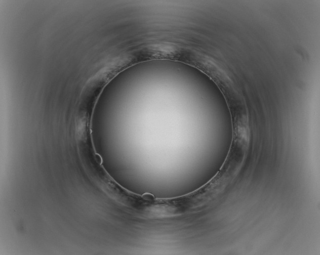 X0000115820468200911131448