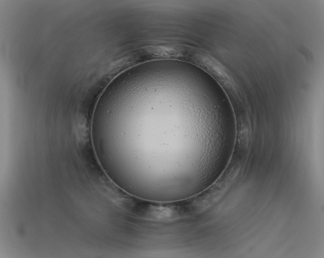 X0000115820469200911131448