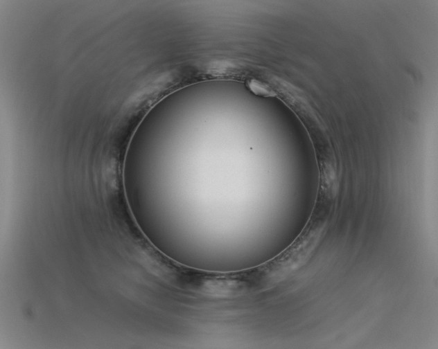 X0000115820470200911131448