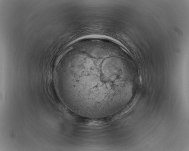 X0000115820471200911131448