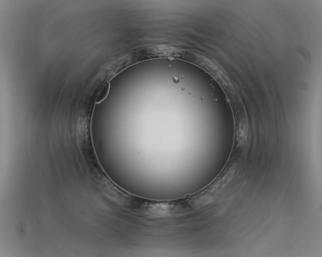 X0000115820473200911131448