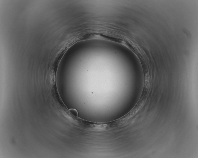 X0000115820474200911131448