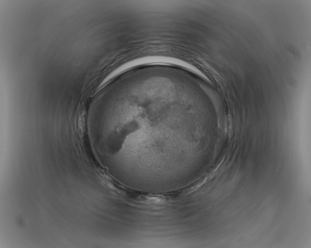 X0000115820475200911131448