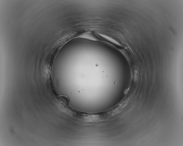 X0000115820476200911131448