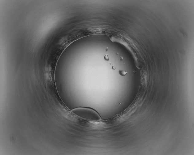 X0000115820477200911131448