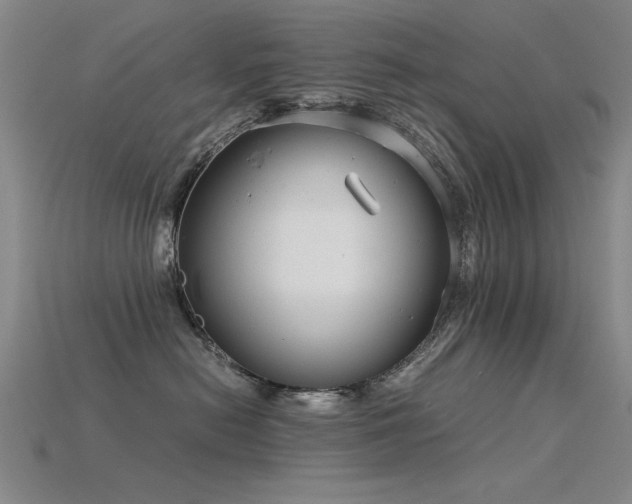 X0000115820478200911131448