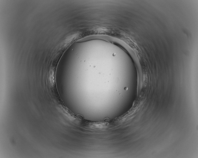 X0000115820479200911131448