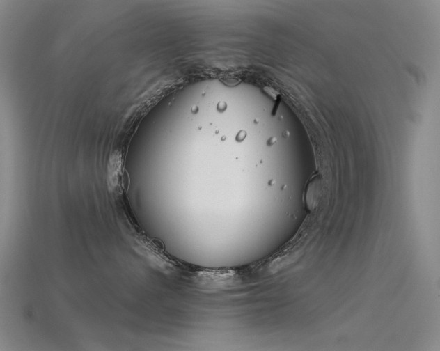 X0000115820480200911131448