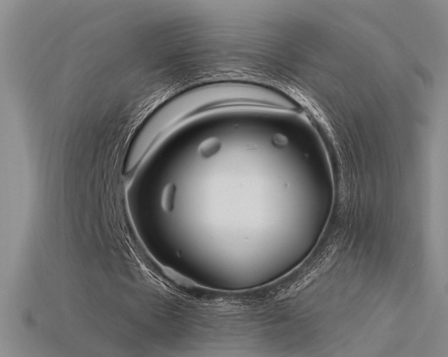 X0000115820481200911131447