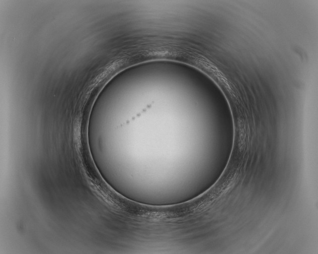 X0000115820482200911131447