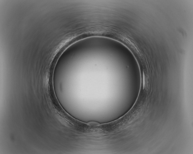 X0000115820483200911131447