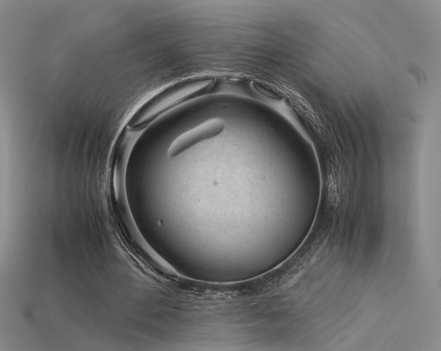 X0000115820484200911131447