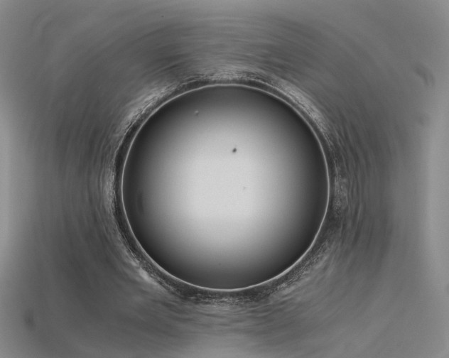 X0000115820485200911131447