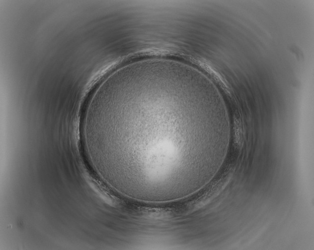 X0000115820486200911131447