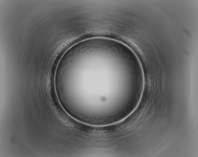 X0000115820487200911131447