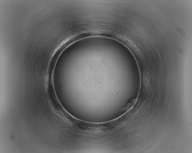 X0000115820488200911131447