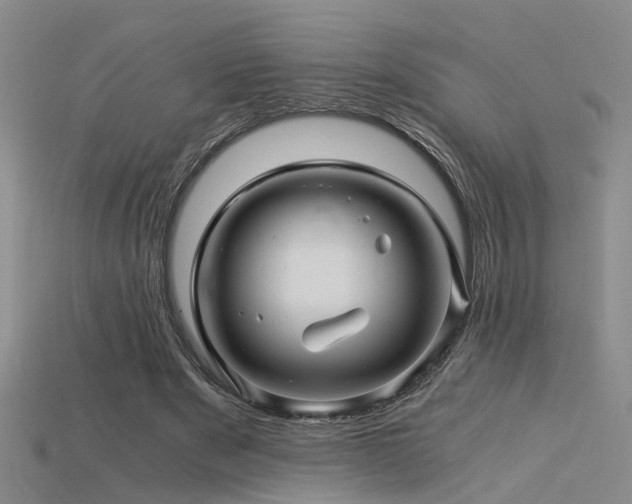 X0000115820489200911131447