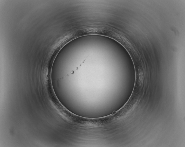 X0000115820490200911131447