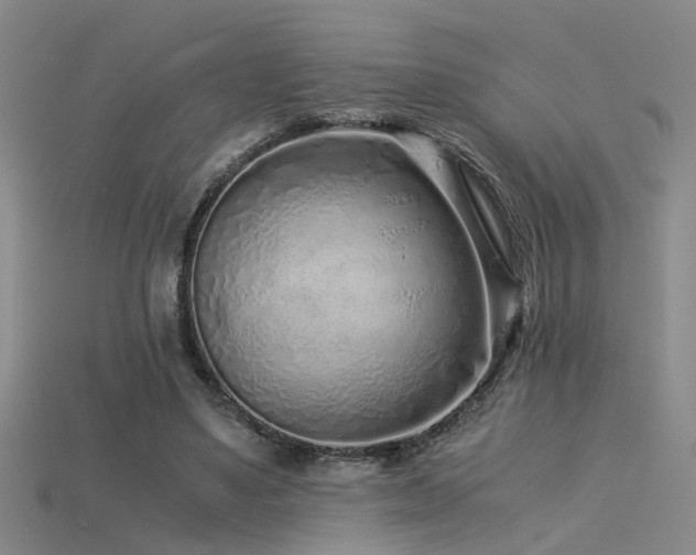 X0000115820491200911131447