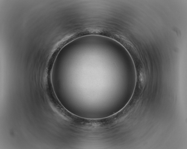 X0000115820492200911131447