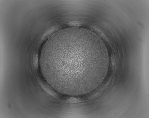 X0000115820494200911131447