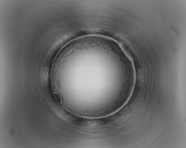 X0000115820495200911131447