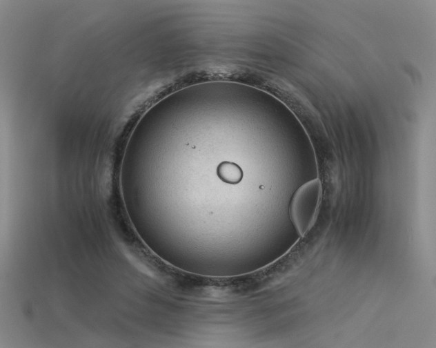 X0000115820496200911131447