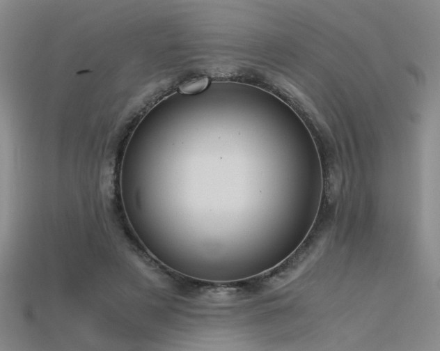 X0000115820497200911131447