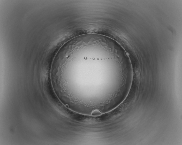 X0000115820499200911131447