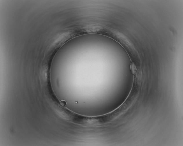 X0000115820501200911131447