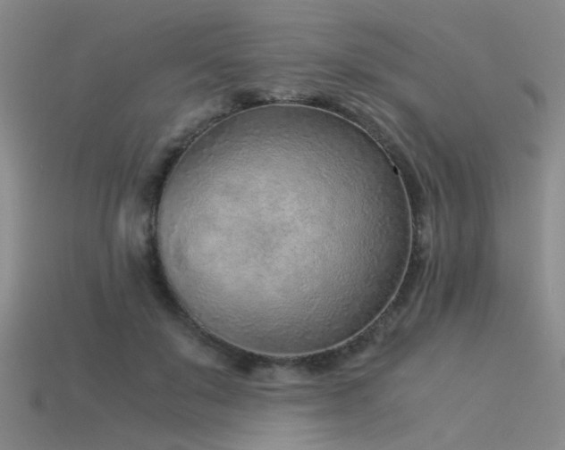 X0000115820503200911131447