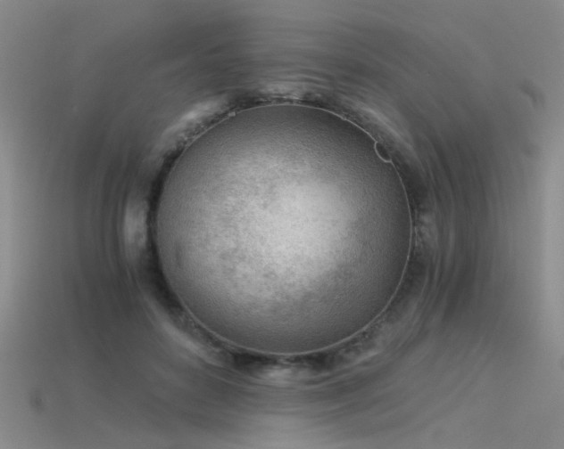 X0000115820504200911131447