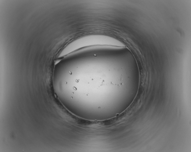 X0000115820505200911131447