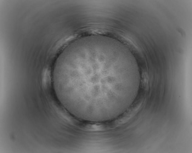 X0000115820506200911131447